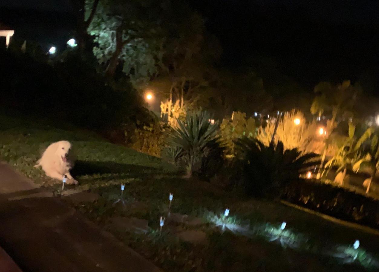 Casa Na Serra Villa Teresópolis Eksteriør bilde